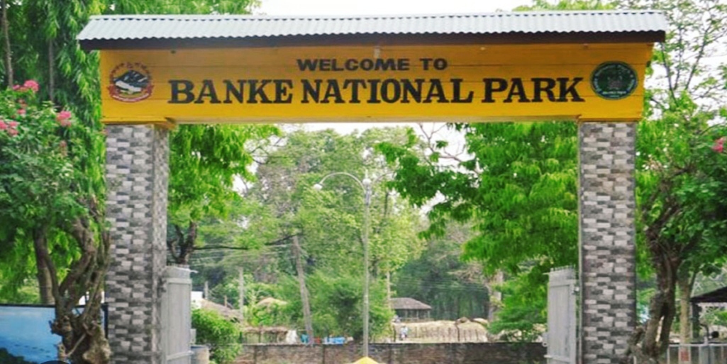 बाँके राष्ट्रिय निकुञ्जमा टाइम कार्ड लागू